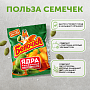 Ядра семян тыквы жареные соленые ТМ «Белочка»